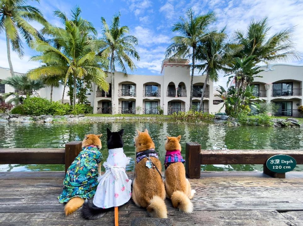 Promisedland Resort & Lagoon Shoufeng Exterior foto Pets at the hotel